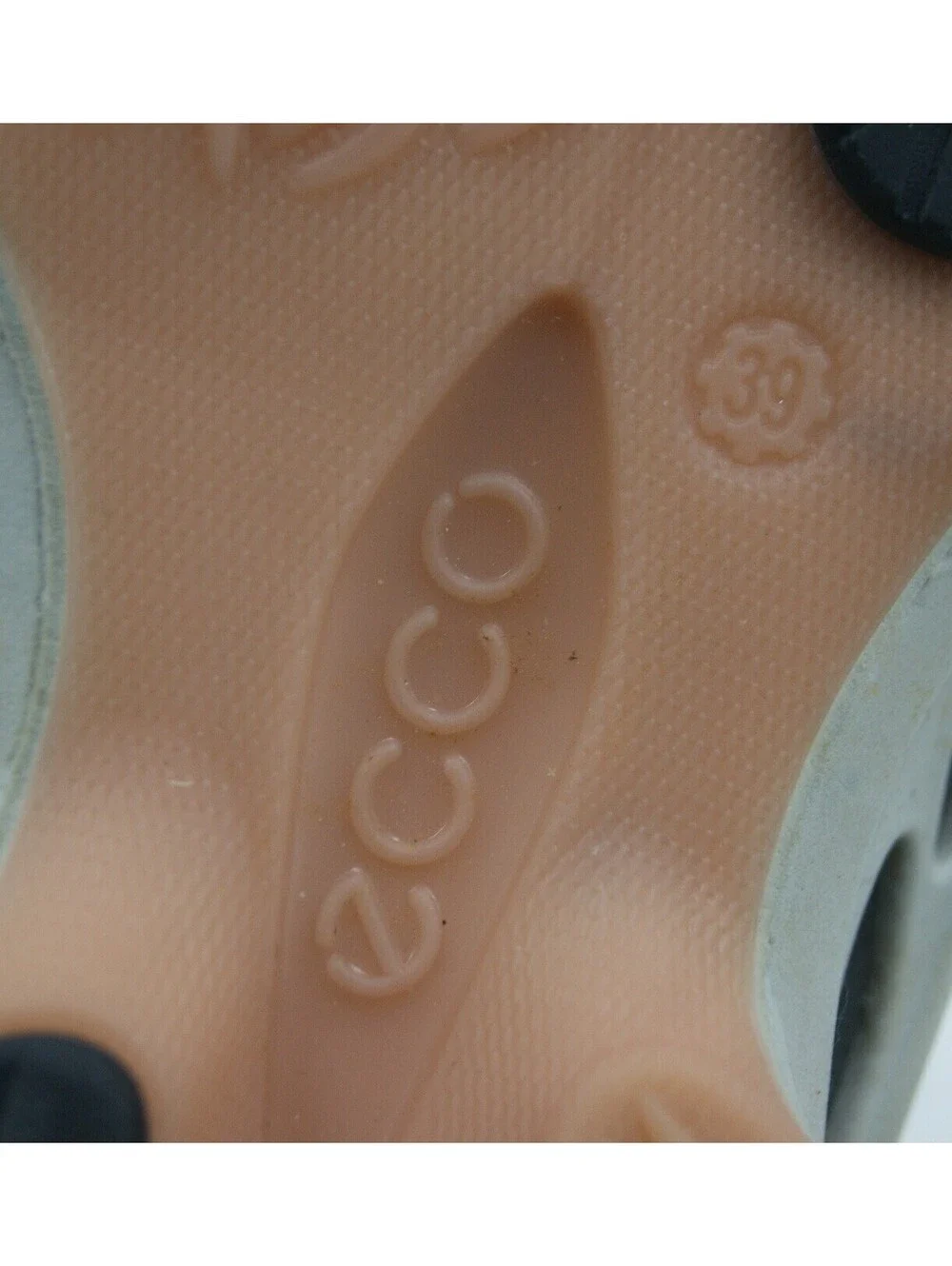 Ecco biom fjuel